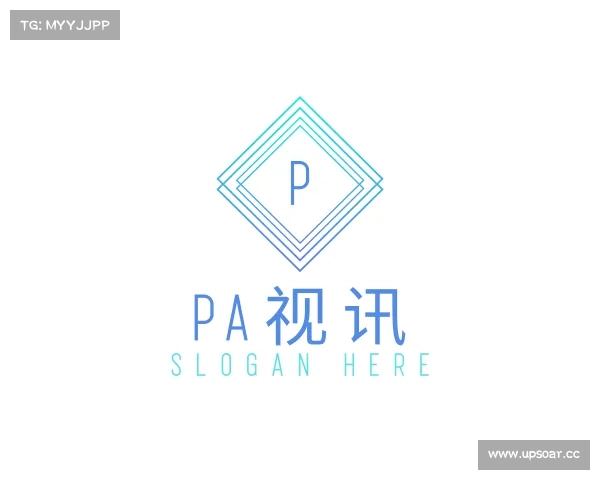 介绍PA视讯